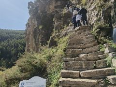 -芦芽山旅游度假区