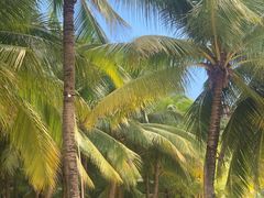 -海南分界洲岛旅游区