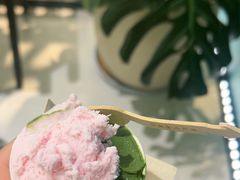 -鹤茶野所(上海首店)