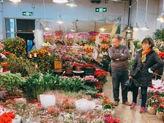 -双季花艺园艺市场(浦东店)