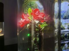 -中国湿地博物馆