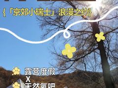 -途柚团建·拓展培训·年会策划