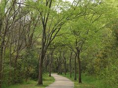 -昆山城市生态森林公园