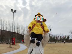 -上海长兴岛郊野公园