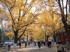 -四川大学(华西校区)