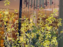 -艾溪湖湿地公园