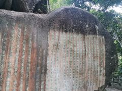 -海南热带雨林国家公园吊罗山景区
