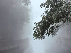-云南屏边大围山国家公园