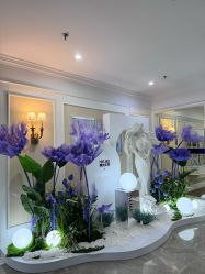 -美莱医疗美容医院