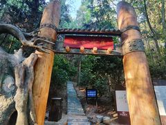 -长沙黑麋峰国家森林公园