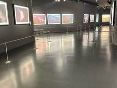 -罗红摄影艺术馆