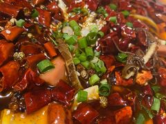 -易老妈蹄花.特色川菜(人民公园总店)