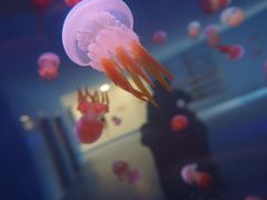 -多彩贵州城极地海洋世界