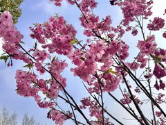 -梁鸿国家湿地公园