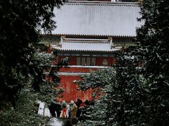 -颐和园