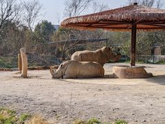 -宁波野生动物园