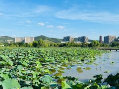 -长兴太湖图影湿地文化园