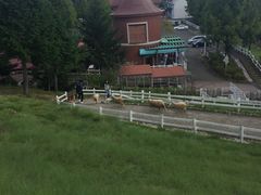 -神户市立六甲山牧场