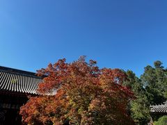 -香山公园