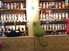 -猫咪博物馆(顶澳仔猫街店)