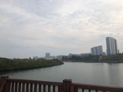 -五缘湾湿地公园