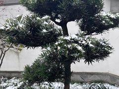 -木渎古镇