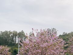 -小南山公园