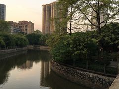 -晓港公园
