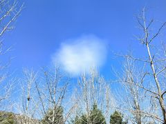 -北京西山国家森林公园