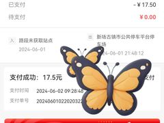 -新场古镇-停车场