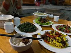 灰灰菜-翕庐小苑