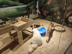 -绿色星球动物主题公园