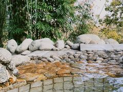 -三江森林温泉度假区