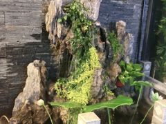 -知足堂养生会所(碑亭巷店)