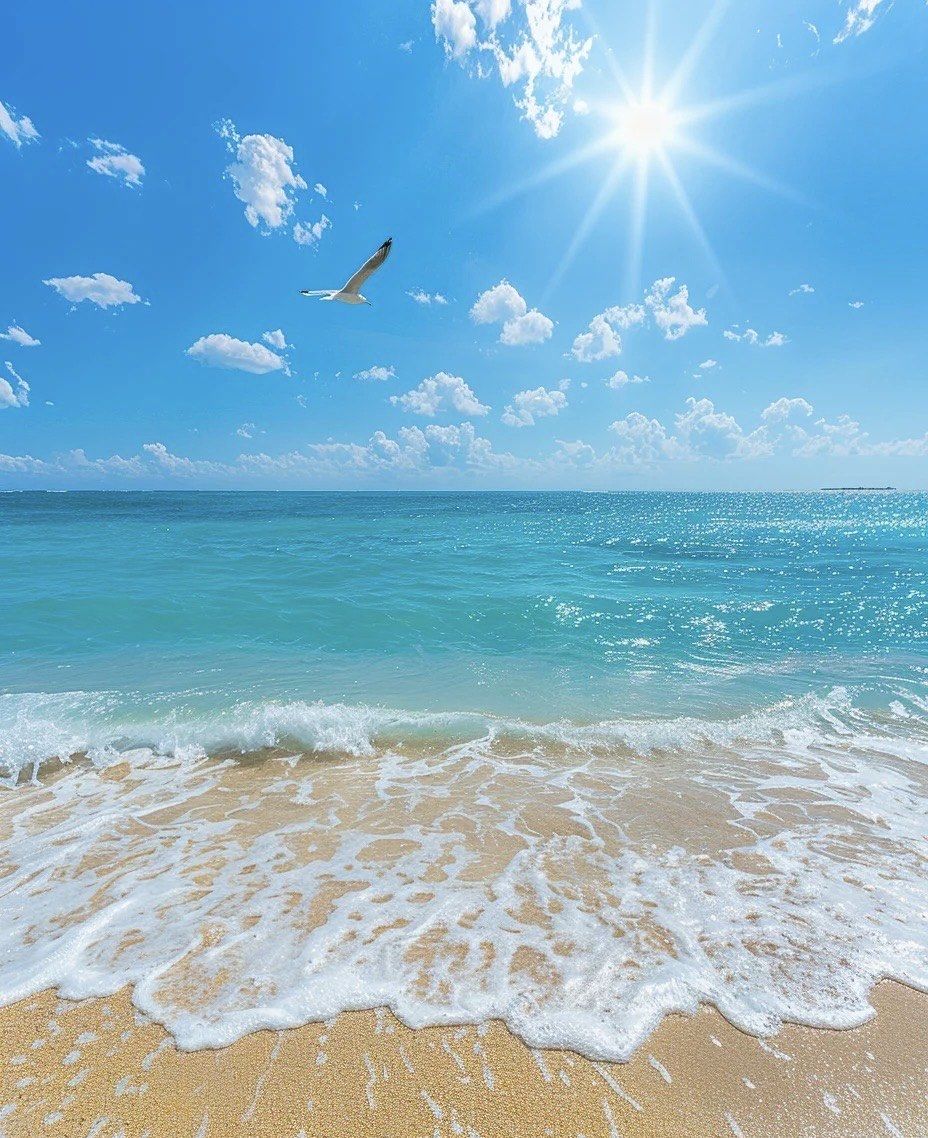 海水魅力无限好