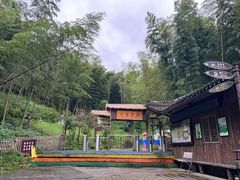 -宁波浙东大竹海景区