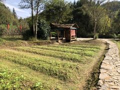 -常德桃花源景区
