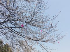 -堤角公园