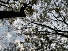 -重庆中央公园(渝北区)