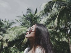 -万绿园