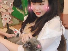 -李小姐の猫咖啡馆(五角场店)
