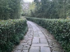 -烟水渔庄餐厅(西溪湿地店)