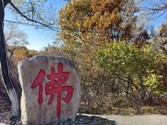 -北山公园