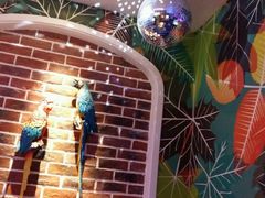 android_upload_pic-米乐星世界KTV