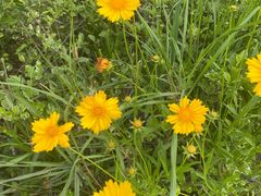 -福建鲤鱼洲酒店