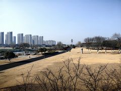 -江滩湿地公园