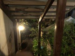 -二楼南书房