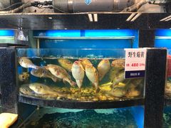 -莆鑫海鲜城(浏河店)