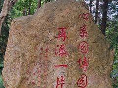 -深圳国际园林花卉博览园