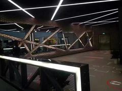 -金吉鸟健身游泳